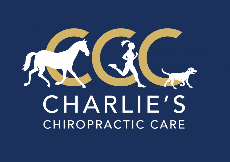 Charlie’s Chiropractic Care